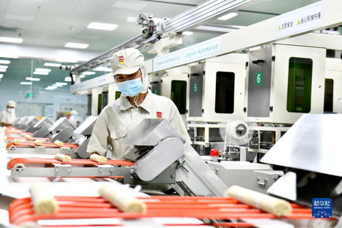 山東濱州 多措并舉促民營經濟高質量發展