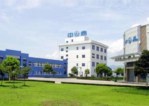 從 控流出 到 擴流入 監管新政下如何合理籌劃跨境并購資金