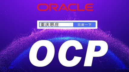 oracle技術支持服務