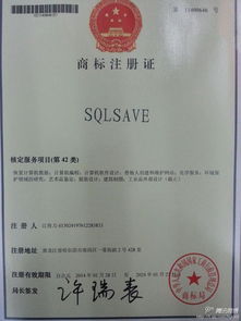 it黑龍江 市場商情