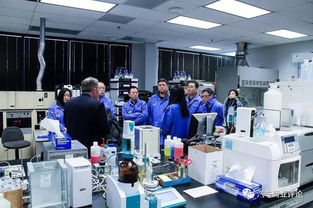 150歲美國(guó)機(jī)油借5歲電商在華逆襲 汽車商業(yè)評(píng)論